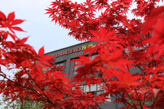 中国 Hefei Luox Yougao Technology Co., Ltd. 会社概要 2