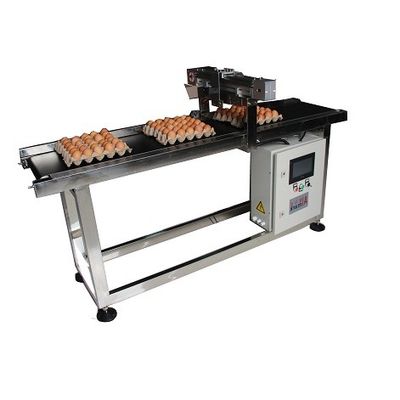 E5 400W X トラバースシステム 日付コード用の卵コードコンベア機